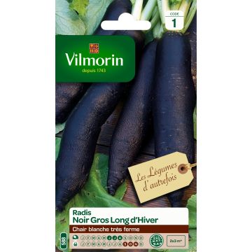 Radish Noir Gros Long d'Hiver - Vilmorin Seeds