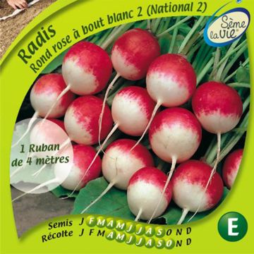 Round Pink and White Radish (National 2) - Ferme de Sainte Marthe seeds