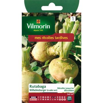 Wilhemsburger Rapeseed (with green neck) - Vilmorin seeds - Brassica napus