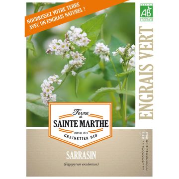 Organic Common Buckwheat - Ferme de Sainte Marthe seeds - Fagopyrum esculentum