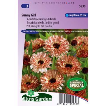 Calendula officinalis Sunny Girl - Garden Marigold seeds