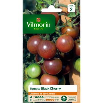 Tomato Black Cherry - Vilmorin seeds