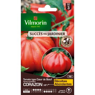 Corazon F1 Tomato - Vilmorin - Hybrid Beefsteak Tomato