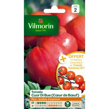 Tomate Cuor di bue - Cœur de bœuf - Vilmorin