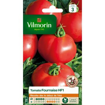 Fournaise F1 Tomato - Vilmorin seeds