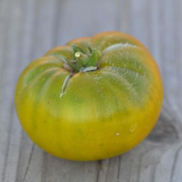 Green Moldovan Organic Tomato - Ferme de Sainte Marthe seeds