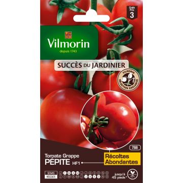 Pépite F1 Tomato - Vilmorin seeds