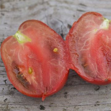 Purple Russian Organic Tomato - Ferme de Sainte Marthe seeds