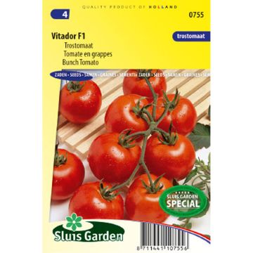 Vitador F1 Cluster Tomato