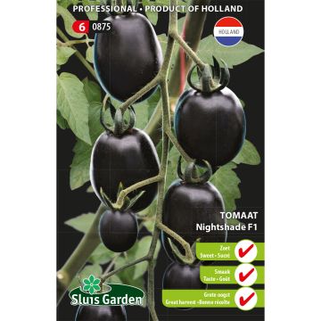 Tomate cerise Romello F1