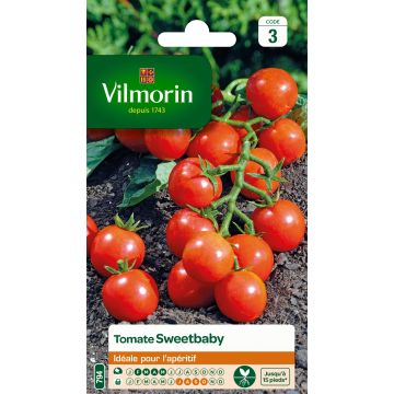 Sweetbaby Cherry Tomato - Vilmorin Seeds