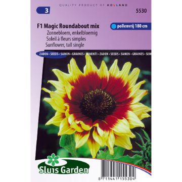 'Magic Roundabout' F1 Sunflower Seeds - Helianthus annuus