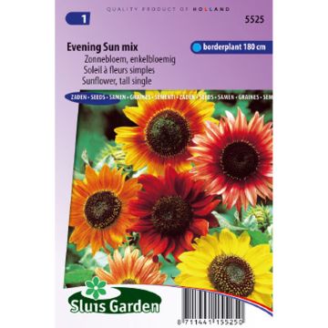 Sunflower Seeds 'Evening Sun' - Helianthus annuus