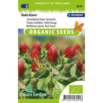 Organic Crimson Clover - Trifolium incarnatum