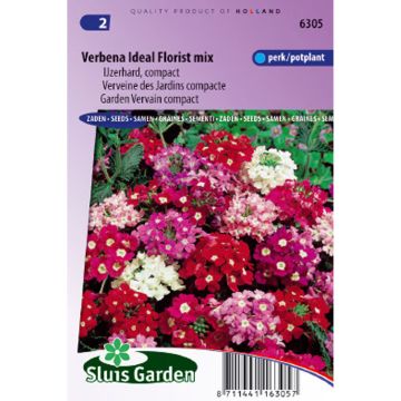 Garden verbena Ideal Florist Mix Seeds - Verbena hybrida
