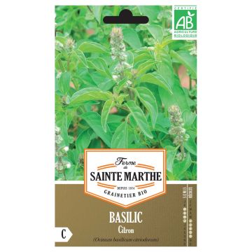 Lemon Basil - Ferme de Sainte Marthe seeds