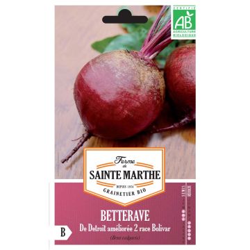 Organic Detroit Improved 2 Bolivar Beetroot - Ferme de Sainte Marthe seeds - Beta vulgaris