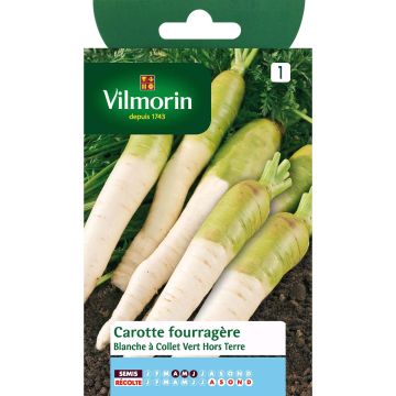 White Fodder Carrot with green collar - Vilmorin seeds - Daucus carota