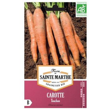 Carrot Touchon - Ferme de Sainte Marthe Seeds