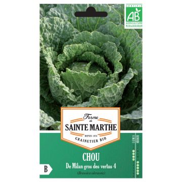 Savoy Cabbage Gros des Vertus 4 - Ferme de Sainte Marthe Seeds