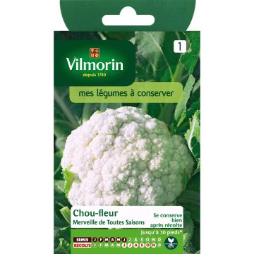 Cauliflower Marvel of All Seasons - Vilmorin seeds