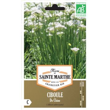 Garlic Chives - Ferme de Ste Marthe Seeds