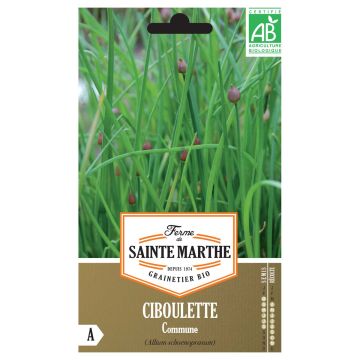 Common Chives - Ferme de Sainte Marthe seeds