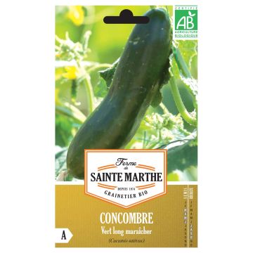 Cucumber Vert Long Maraîcher - Ferme de Sainte Marthe Seeds