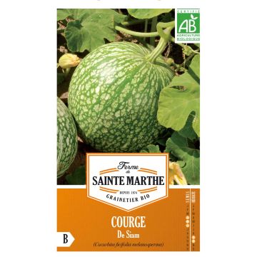Fig Leaf Squash - Ferme de Sainte Marthe Seeds