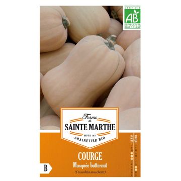 Butternut Squash - Ferme de Sainte Marthe Seeds