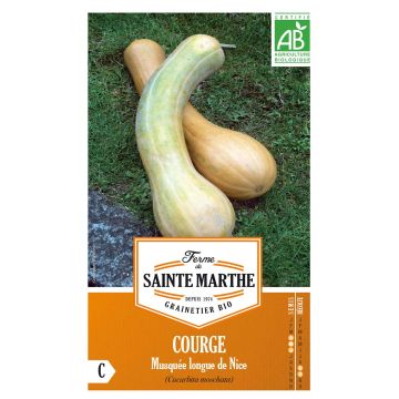 Squash Longue de Nice - Ferme de Sainte Marthe Seeds