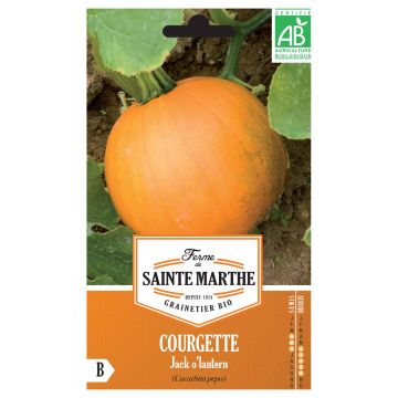 Halloween Pumpkin Jack OLantern - Ferme de Sainte Marthe Seeds