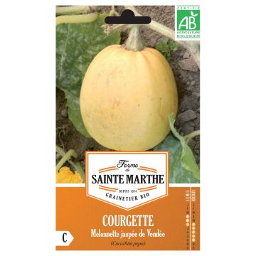 Squash Melonnette Jaspée de Vendée - Ferme de Sainte Marthe Seeds