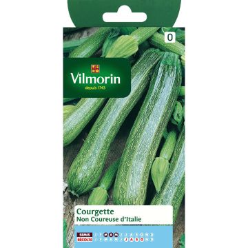 Non-trailing Zucchini - Vilmorin seeds - Cucurbita pepo