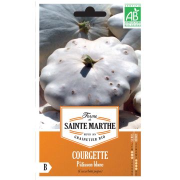 Squash White Scallop - Ferme de Sainte Marthe Seeds