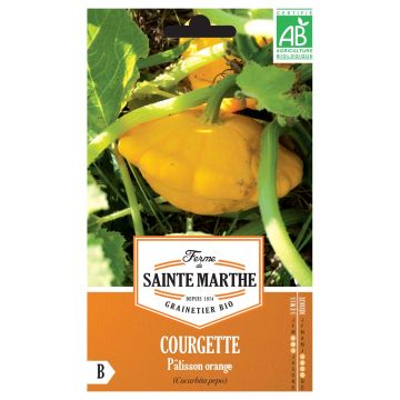 Squash Orange Scallop - Ferme de Sainte Marthe Seeds