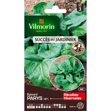 Spinach Parys F1 - Vilmorin Seeds