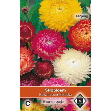 Helichrysum bracteatum Moreska - Strawflower seeds