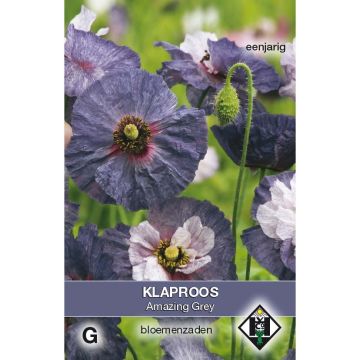 Poppy Amazing Grey Seeds - Papaver rhoeas