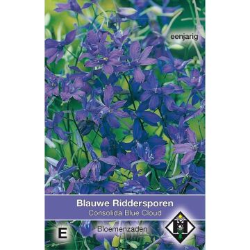 Delphinium Blue Cloud Seeds - Annual Larkspur