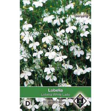 Lobelia erinus White Lady Seeds