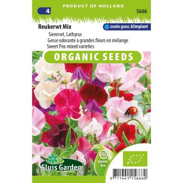 Lathyrus odoratus Mix - Sweet pea