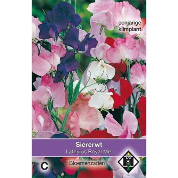 Lathyrus odoratus Royal Mix - Sweet Pea Seeds