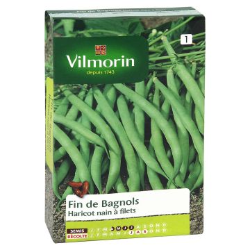 Dwarf Bean with Net Fin de Bagnols - Vilmorin seeds