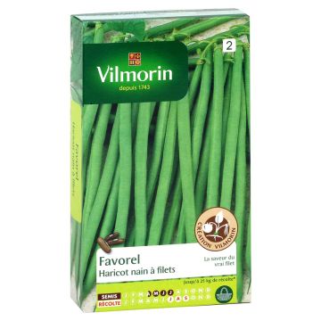 Dwarf Bean with net Favorel - Vilmorin seeds