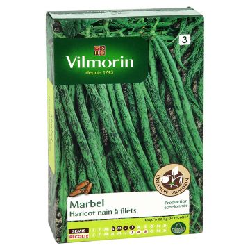 Dwarf Bean with Net Marbel (Creation Vilmorin seeds) - Vilmorin seeds