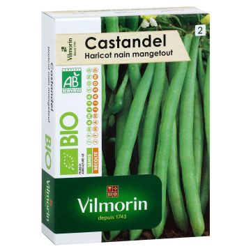 Common Bean Castandel Vilmorin seeds