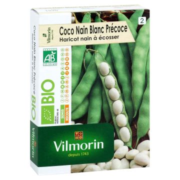 Dwarf Bean for Shelling Early Organic Coco Blanc - Vilmorin seeds