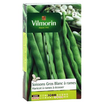 Climbing Bean to Shell Soissons Large White - Vilmorin seeds