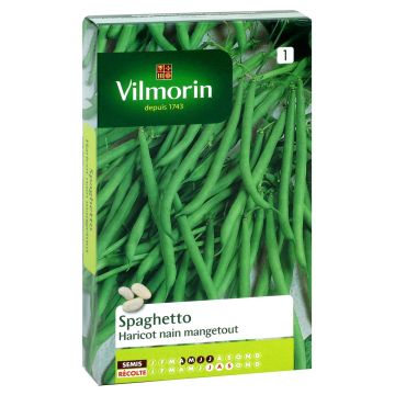 Common bean Spaghetto